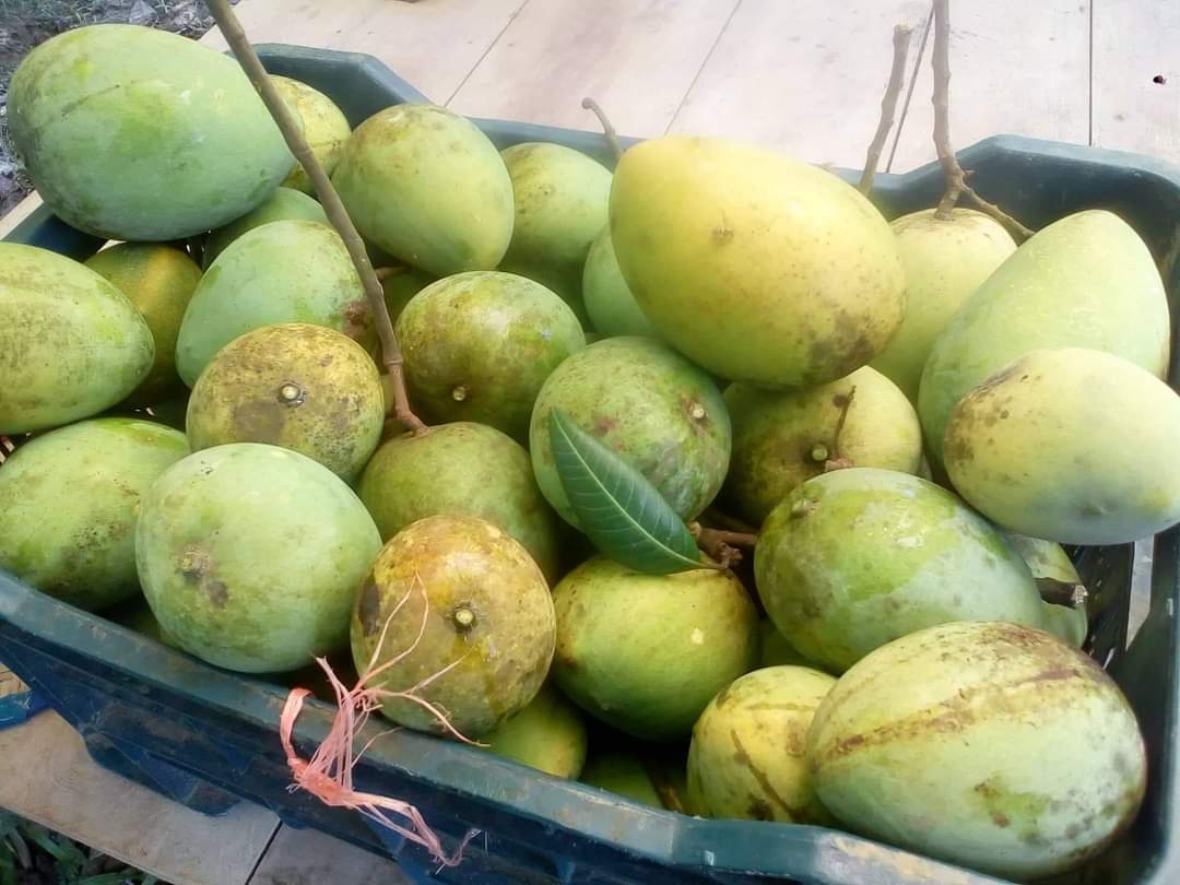 হাড়িভাঙ্গা | Haribhanga - Image 4