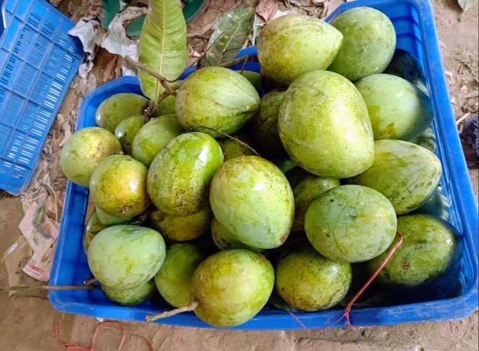 হাড়িভাঙ্গা | Haribhanga - Image 3