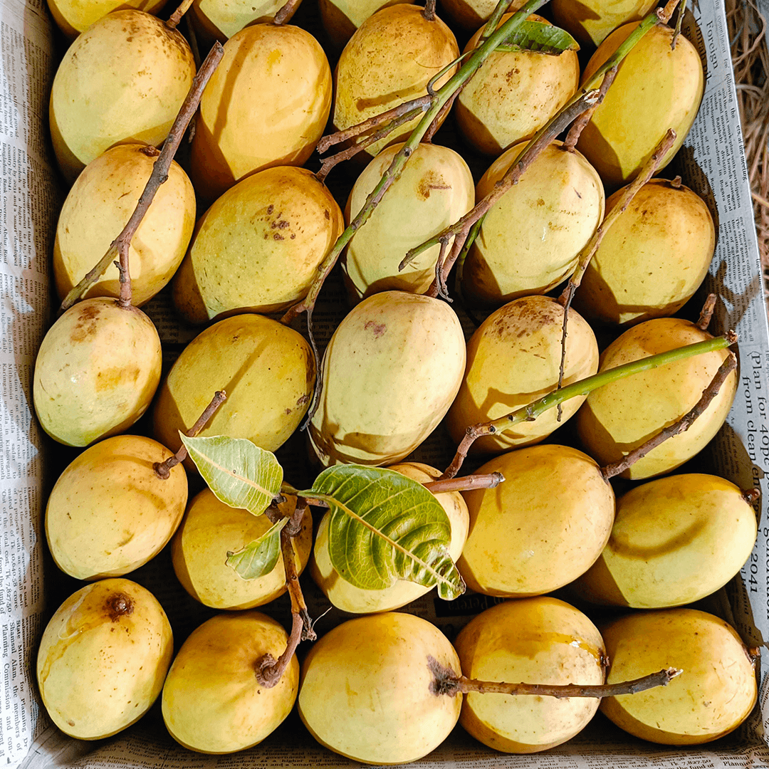 কাটিমন | Katimon Mango - Image 3