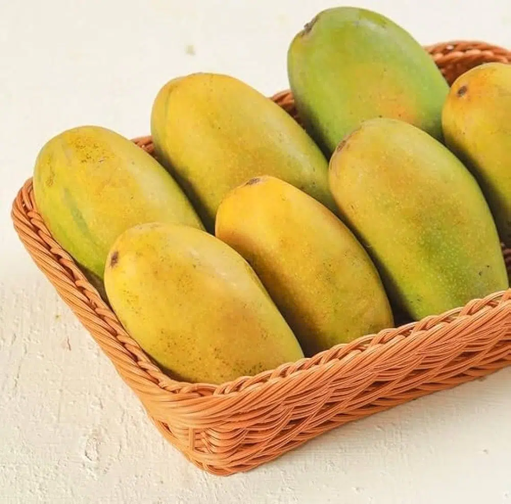 থাই জাম্বো ম্যাংগো – Thai Jambo Mango - Image 3