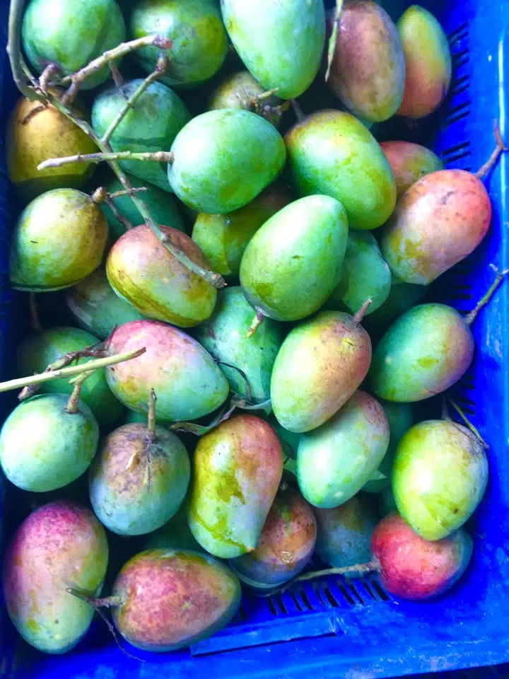 গোলাপখাস আম – Golapkhas Mango - Image 4