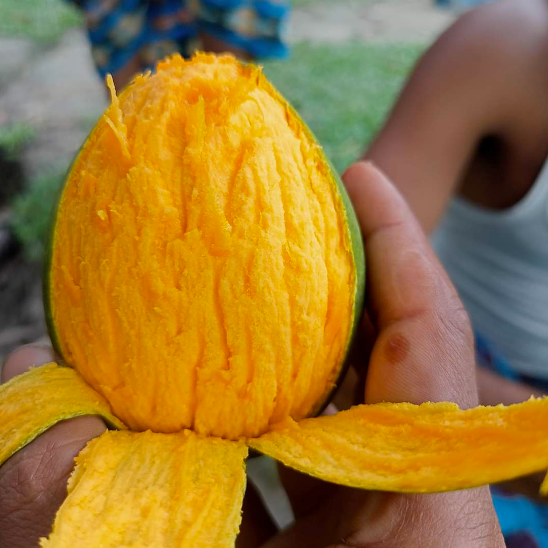 হাড়িভাঙ্গা | Haribhanga - Image 2