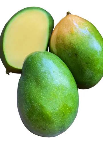 American Keitt Mango – আমেরিকান কেইট আম - Image 3