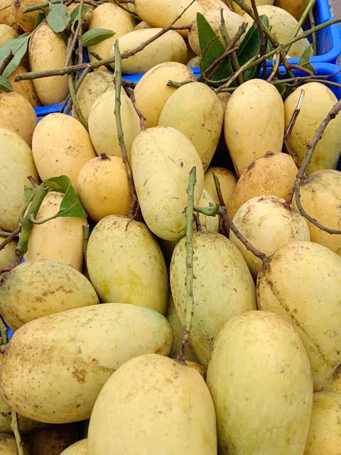 Thai Katimon Mango – থাই কাটিমন আম - Image 6