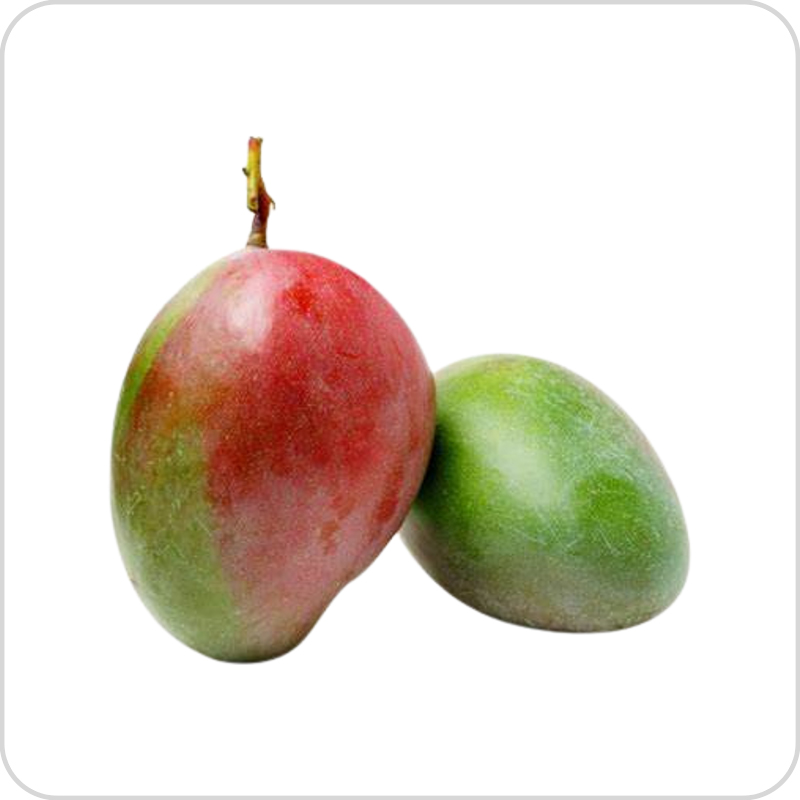 American Keitt Mango – আমেরিকান কেইট আম