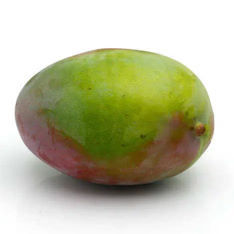 American Keitt Mango – আমেরিকান কেইট আম - Image 4
