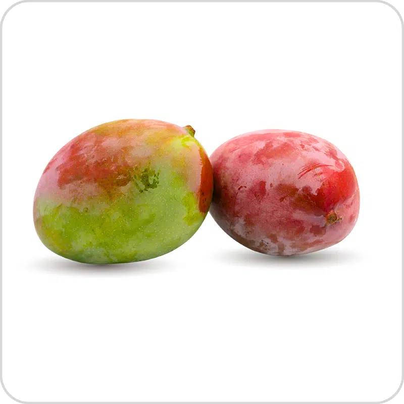 American Keitt Mango – আমেরিকান কেইট আম - Image 5